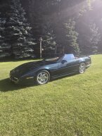 Thumbnail Photo 1 for 1990 Chevrolet Corvette Convertible for Sale by Owner
