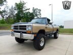 Thumbnail Photo 4 for 1990 Dodge D/W Truck