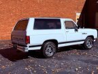 Thumbnail Photo 6 for 1990 Dodge Ramcharger