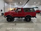 Thumbnail Photo 2 for 1990 Ford Bronco Eddie Bauer