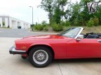Thumbnail Photo 5 for 1990 Jaguar XJS V12 Convertible