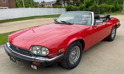 Photo 1 for 1990 Jaguar XJS