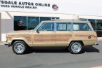 Thumbnail Photo 1 for 1990 Jeep Grand Wagoneer