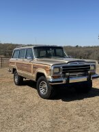 Thumbnail Photo 1 for 1990 Jeep Grand Wagoneer for Sale by Owner