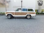 Thumbnail Photo 5 for 1990 Jeep Grand Wagoneer