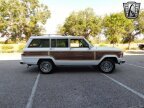 Thumbnail Photo 3 for 1990 Jeep Grand Wagoneer
