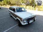 Thumbnail Photo 6 for 1990 Jeep Grand Wagoneer