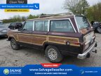 Thumbnail Photo 3 for New 1990 Jeep Grand Wagoneer