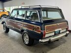 Thumbnail Photo 6 for 1990 Jeep Grand Wagoneer