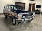 Thumbnail Photo 2 for 1990 Jeep Grand Wagoneer