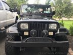 Thumbnail Photo 3 for 1990 Jeep Wrangler