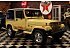 1990 Jeep Wrangler 4WD Islander