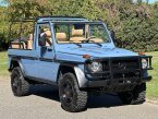 Thumbnail Photo 6 for 1990 Mercedes-Benz G Wagon