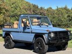 Thumbnail Photo 4 for 1990 Mercedes-Benz G Wagon