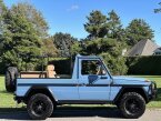Thumbnail Photo 6 for 1990 Mercedes-Benz G Wagon