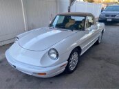 1991 Alfa Romeo Spider