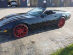 Thumbnail Photo 6 for 1991 Chevrolet Corvette