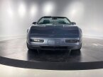 Thumbnail Photo 3 for 1991 Chevrolet Corvette Convertible