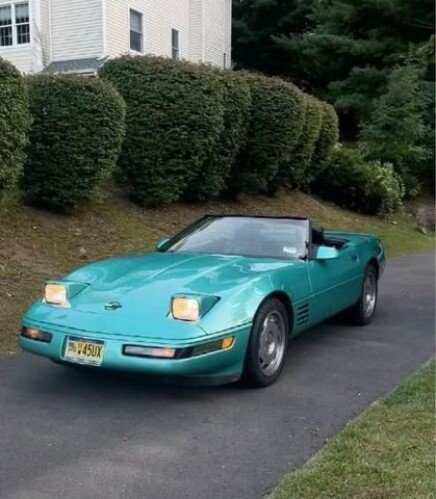 Photo 1 for 1991 Chevrolet Corvette Convertible