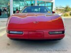 Thumbnail Photo 1 for 1991 Chevrolet Corvette