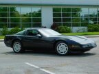 Thumbnail Photo 6 for 1991 Chevrolet Corvette