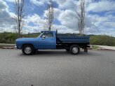 1991 Dodge D/W Truck 2WD Regular Cab D-250