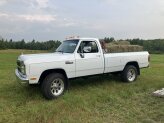 1991 Dodge D/W Truck 4x4 Regular Cab W-250