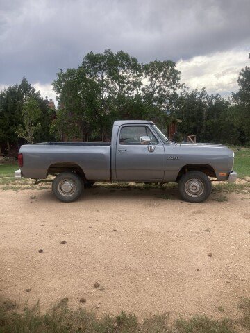 1991 Dodge Other Dodge Models