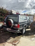 Thumbnail Photo 1 for 1991 Ford Bronco XLT for Sale by Owner
