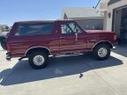 Thumbnail Photo 1 for 1991 Ford Bronco 2-Door for Sale by Owner