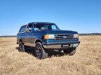 Thumbnail Photo 2 for 1991 Ford Bronco Eddie Bauer for Sale by Owner