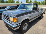 1991 Ford F150 2WD Regular Cab