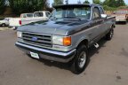 Thumbnail Photo 3 for 1991 Ford F250