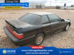 Thumbnail Photo 4 for 1991 Honda Prelude Si