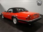 Thumbnail Photo 5 for 1991 Jaguar XJS V12 Convertible