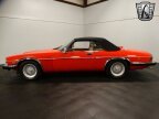Thumbnail Photo 4 for 1991 Jaguar XJS V12 Convertible