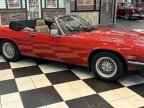 Thumbnail Photo 6 for 1991 Jaguar XJS