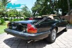 Thumbnail Photo 5 for 1991 Jaguar XJS V12 Convertible