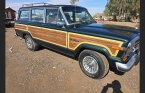 Thumbnail Photo 2 for 1991 Jeep Grand Wagoneer for Sale by Owner