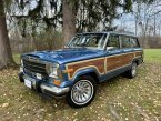 Thumbnail Photo 2 for 1991 Jeep Grand Wagoneer