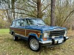 Thumbnail Photo 1 for 1991 Jeep Grand Wagoneer
