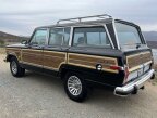 Thumbnail Photo 6 for 1991 Jeep Grand Wagoneer for Sale by Owner