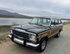 Thumbnail Photo 1 for 1991 Jeep Grand Wagoneer for Sale by Owner