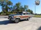 Thumbnail Photo 2 for 1991 Jeep Grand Wagoneer