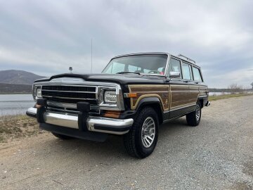 1991 Jeep Grand Wagoneer