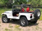 Thumbnail Photo 2 for 1991 Jeep Wrangler