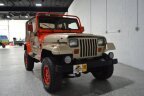 Thumbnail Photo 1 for 1991 Jeep Wrangler
