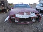 Thumbnail Photo 4 for 1991 Pontiac Firebird Trans Am Coupe
