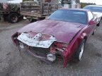 Thumbnail Photo 5 for 1991 Pontiac Firebird Trans Am Coupe