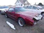 Thumbnail Photo 3 for 1991 Pontiac Firebird Trans Am Coupe